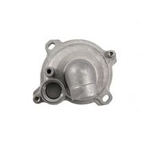 Complete water pump RMS 100110650