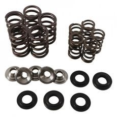 Valve spring kit HOT CAMS SKYFM660S2