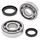 Satz Kurbelwellenlager und -dichtungen All Balls Racing CB24-1091