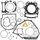 Complete Gasket Kit WINDEROSA CGK 808946
