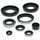 Wellendichtringsatz fürs Motor WINDEROSA EOSK 822159