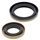 Crankshaft Seal Kit All Balls Racing CS24-2002