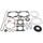 Complete Gasket Kit with Oil Seals WINDEROSA CGKOS 711329