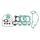 Engine gasket set RMS 100689941