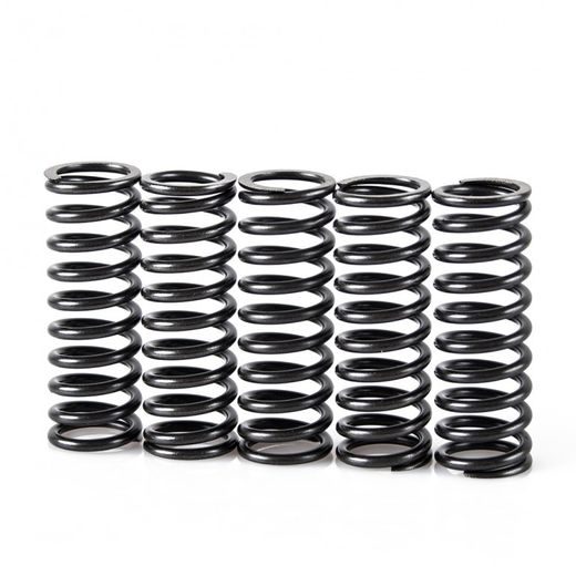 Kupplungsfedersatz MOTION STUFF