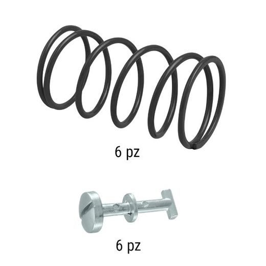 Retainers and springs kit RMS 121858594