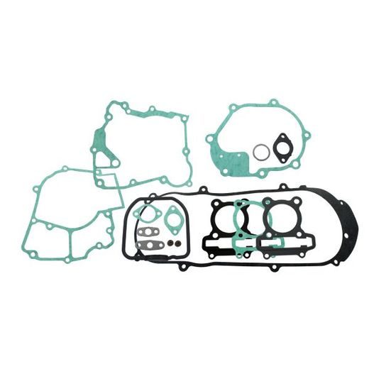 Engine gasket set RMS 100689881