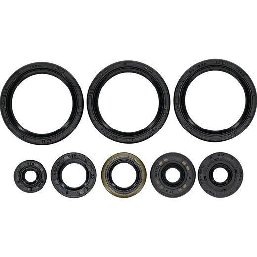 Wellendichtringsatz fürs Motor WINDEROSA EOSK 822403