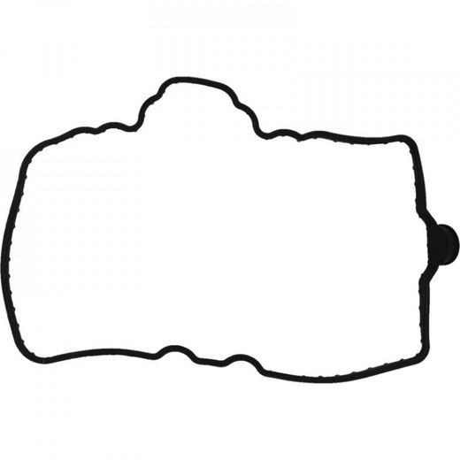 Valve Cover Gasket WINDEROSA VCG 819164