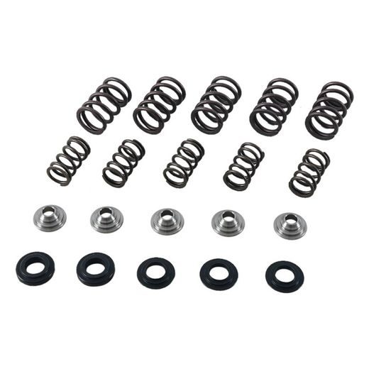 Valve spring kit HOT CAMS SKYFM660S2