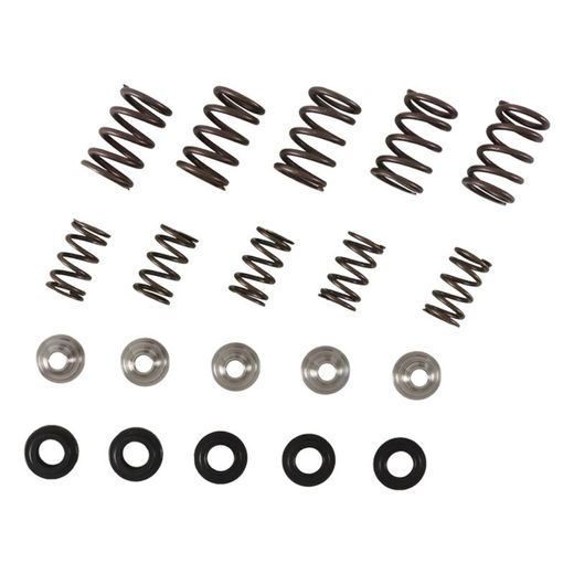 Valve spring kit HOT CAMS SKYFM660S2
