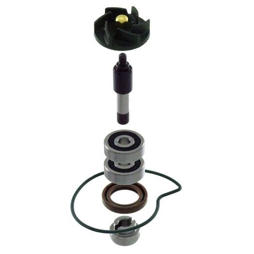 Water pump set RMS 100110440