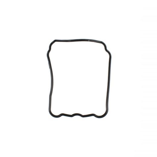 Head cover gasket RMS 100701050