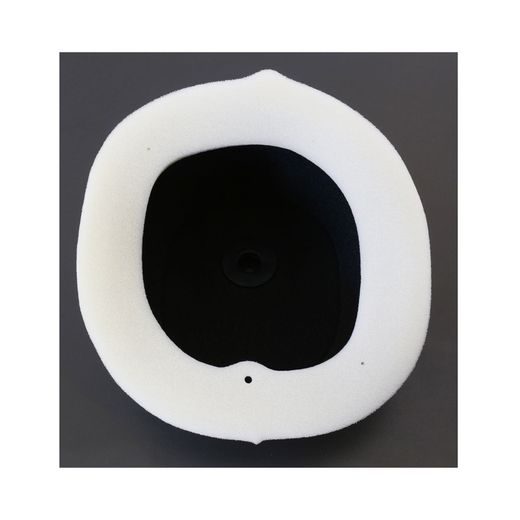 Luftfilter ATHENA S410510200018