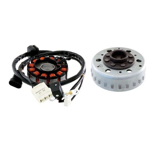 Magneto RMS 246360942