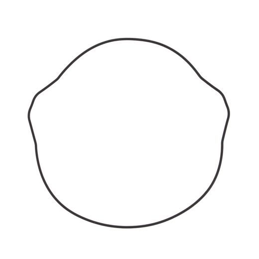 Clutch cover gasket WINDEROSA CCG 817200 outer side