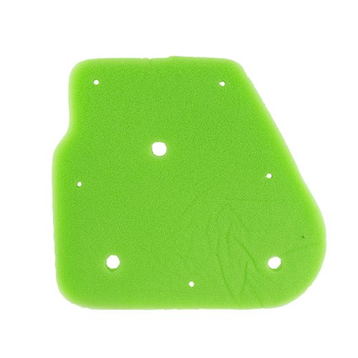 Luftfilter CHAMPION CAF3001DS 100605535