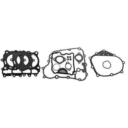 Engine gasket set RMS 100684290