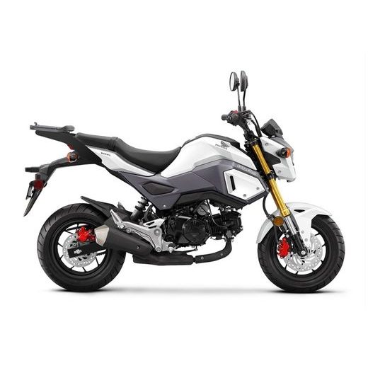 Montagesatz Top Master SHAD H0MS17ST