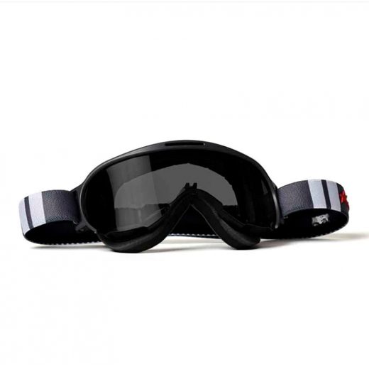 Goggles ARIETE WABI 14980-LNGB light sensitive lens Grey/White