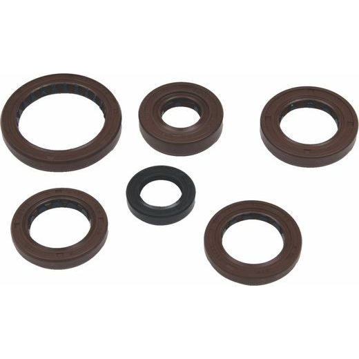 Wellendichtringsatz fürs Motor WINDEROSA EOSK 822376