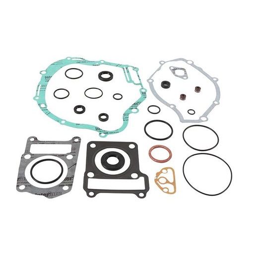 Complete Gasket Kit with Oil Seals WINDEROSA CGKOS 811977