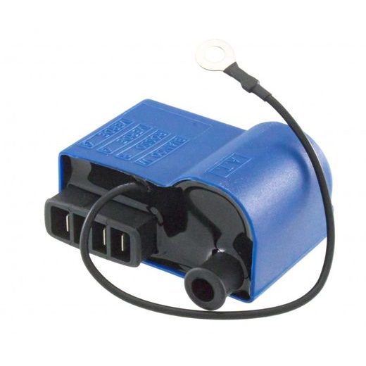 Zündspule RMS 246010050