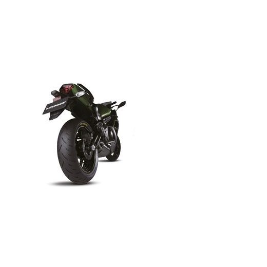 Reifen DUNLOP 110/70ZR17 (54W) TL SX GPR300F