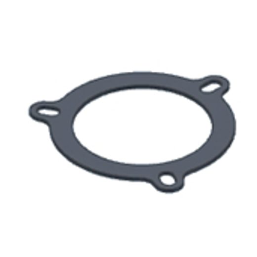 Graphite plate gasket MIVV 50.73.028.1 for big flange (3holes)