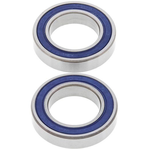 Lagersatz Raddichtungen All Balls Racing WB25-1484