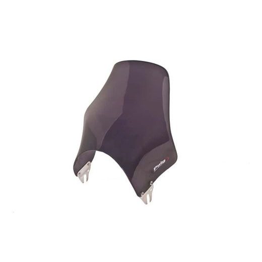 Windschirm PUIG NAKED 4320F dunkel getönt