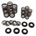 Valve spring kit HOT CAMS SKYFM660S2