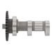 Camshaft exhaust HOT CAMS 2073-1E