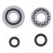 Crankshaft Rebuilding Kit ATHENA P400210444012 (bearing and oil seal kit)