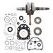Bottom end kit HOT RODS CBK0219