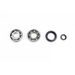 Crankshaft Rebuilding Kit ATHENA P400210444249 (bearing and oil seal kit)