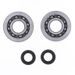 Crankshaft Rebuilding Kit ATHENA P400420444002 (bearing and oil seal kit)