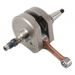 Crankshaft HOT RODS 4021