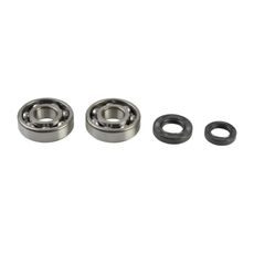 Crankshaft Rebuilding Kit ATHENA P400210444079 (bearing and oil seal kit)