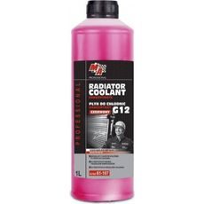 MA Professional 61-107 1L