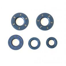 Sada gufer motoru ATHENA P400150400160