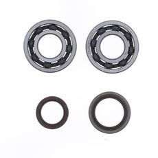 Crankshaft Rebuilding Kit ATHENA P400060444002 (bearing and oil seal kit)