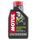 Motul Scooter Expert 2T 1L