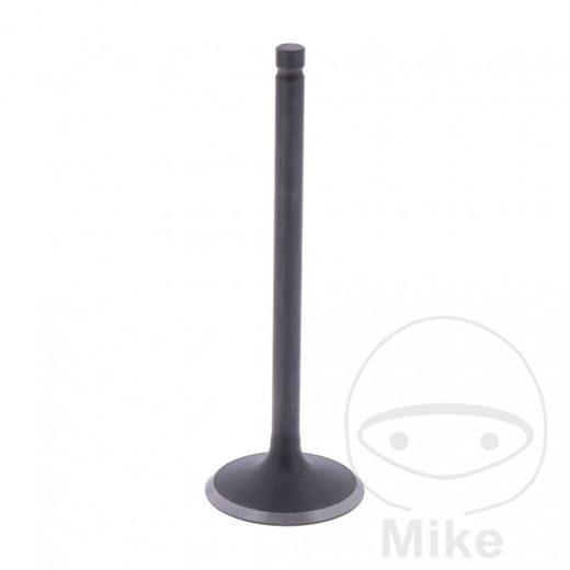 Sací ventil JMT (original spare part)