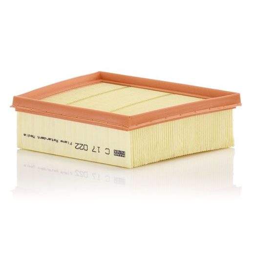 Vzduchový filtr MANN-FILTER C 17 022