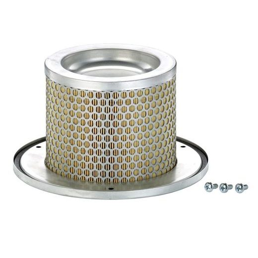 Filtr - sekundární vzduch MANN-FILTER C 1374/2 KIT