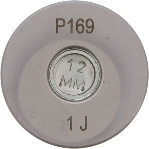 Crank Pin HOT RODS P169