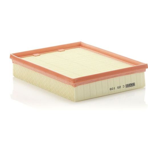 Vzduchový filtr MANN-FILTER C 25 109