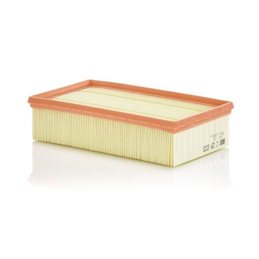 Vzduchový filtr MANN-FILTER C 29 033