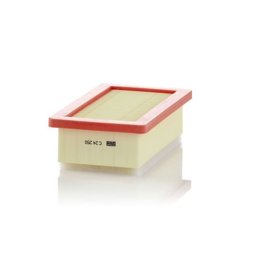 Vzduchový filtr MANN-FILTER C 24 250